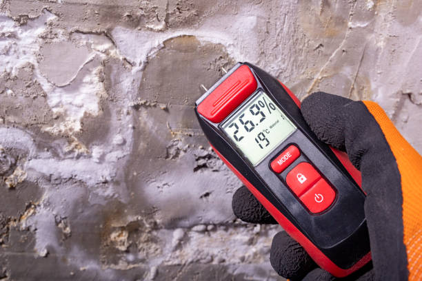 Best Toxic Mold Removal  in Owenton, KY