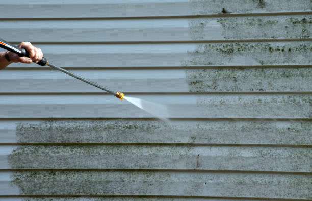 Attic Mold Removal in Owenton, KY