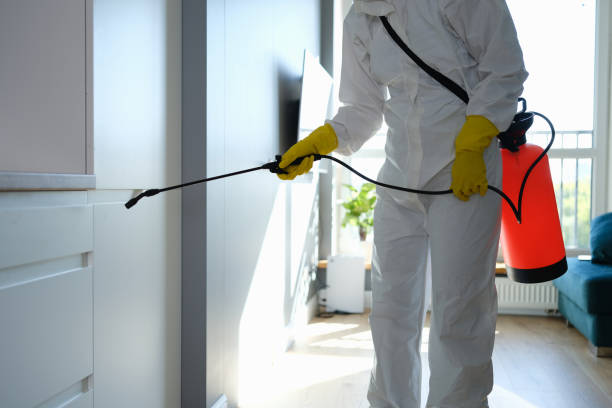 Best Certified Mold Removal  in Owenton, KY