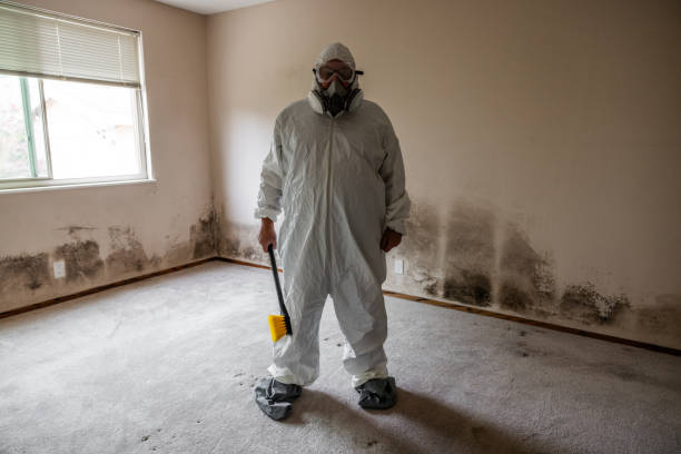 Trusted Owenton, KY Mold Removal Experts
